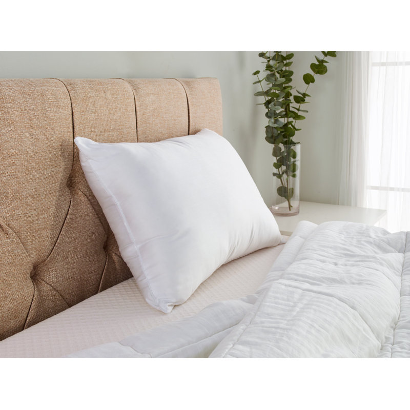 Sheredan Down Alternative Medium Pillow, 20" x 28"