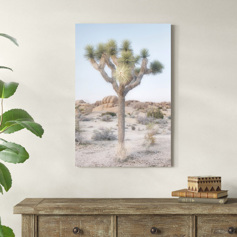 Joshua Tree National Park II par Alan Majchrowicz - photographie sur toile tendue, H 36 po x l 24 po