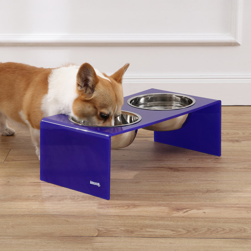 Mangeoire pour animaux Keaton, Moyen (6,76 tasses / 54 oz liquides), Mauve / chrome