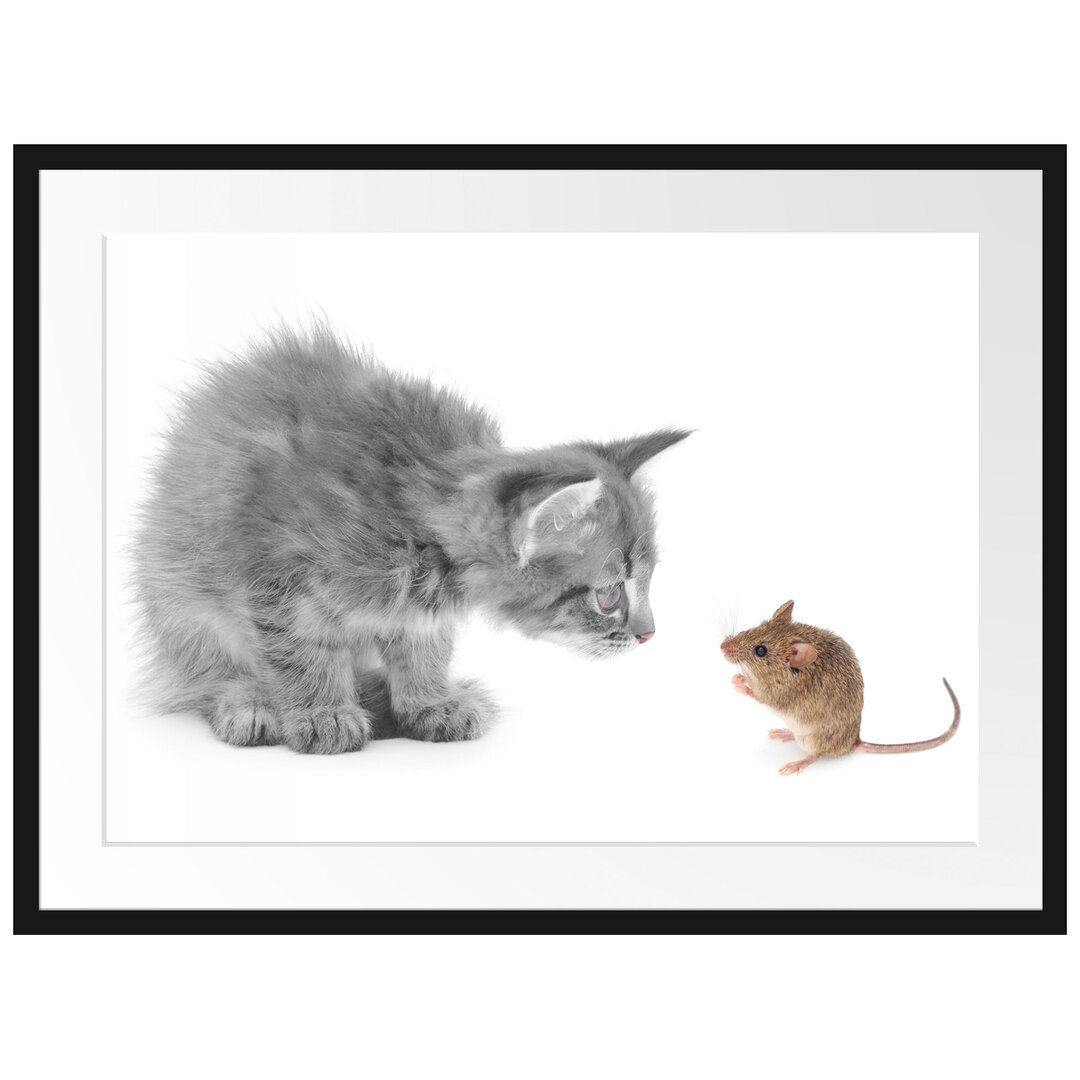 Gerahmtes Poster Katz und Maus