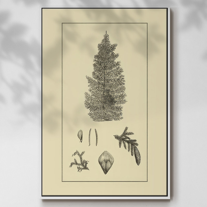 Arbor Study I, H 25 po x l 17 po x P 1,5 po, Blanc