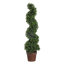 Topiaire de buis 36 po en pot
