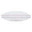 kate spade new york Joy Dot Endless Loft Bed Pillow, 2 inch gusset Foam-Core Pillow, White-275113101