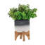 Pot à fleurs en céramique sur support en bois de 5 po, gris