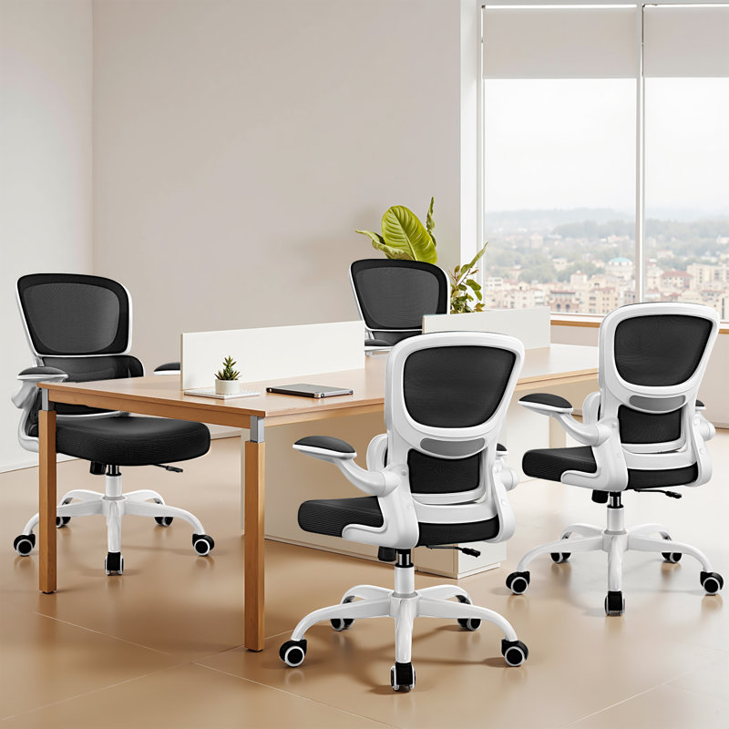 Dickens Ergonomic Mesh Task Chair, Black/White