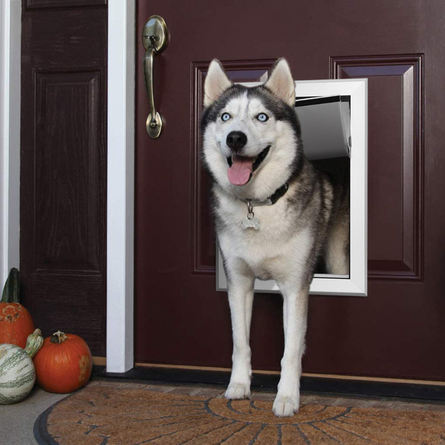 Husky dog using a pet door.
