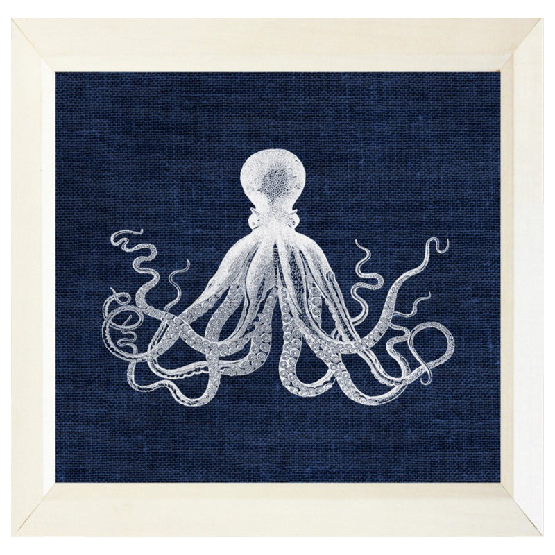 «Octopus on Navy», impression encadrée, H 12 po x l 12 po x P 1 po
