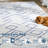 Low Velvet Lightweight Anti Slip Carpet-1195929398