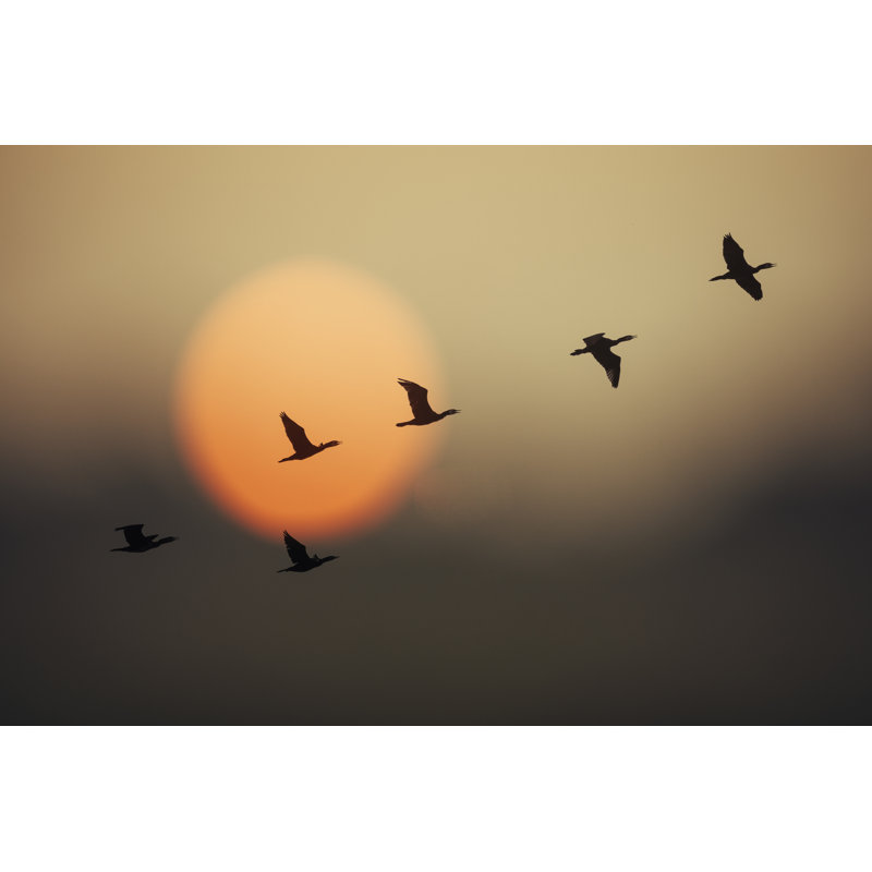 Wild Geese In Sunset by VSanandhakrishna - Wrapped Canvas Print, 30cm H x 46cm W x 3.8cm D