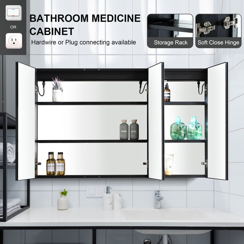 Camrynn 48 in. Mirrored Medicine Cabinet with LED Lights