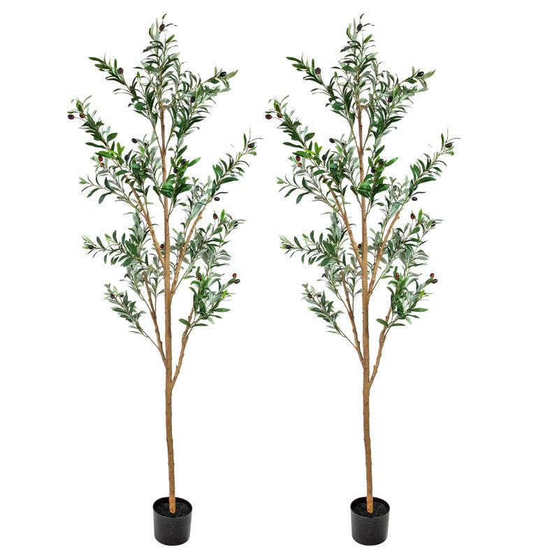 Olive artificielle - paquet de 2, H 72 po x l 25 po x P 25 po