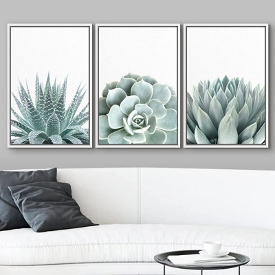 Succulent " Green Succulent And Cactus Variety Wilderness Nature " 3 - Pieces