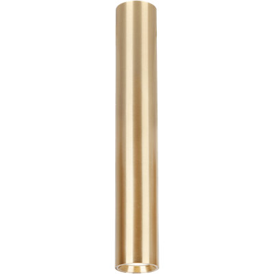 Genesis Flush Ceiling Light