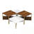 4-piece Nesting Coffee Tables with metal legs-1339665454