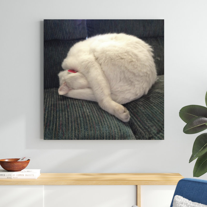 Cat Yoga I, H 36 po x l 36 po
