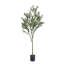 Arbre d'olive artificiel-343693791
