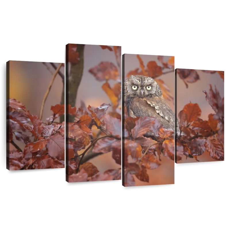 Brampt Lone Scops Owl, 32" H x 52" W