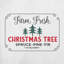 coussin décoratif en polyester Christmas-16-1527529359