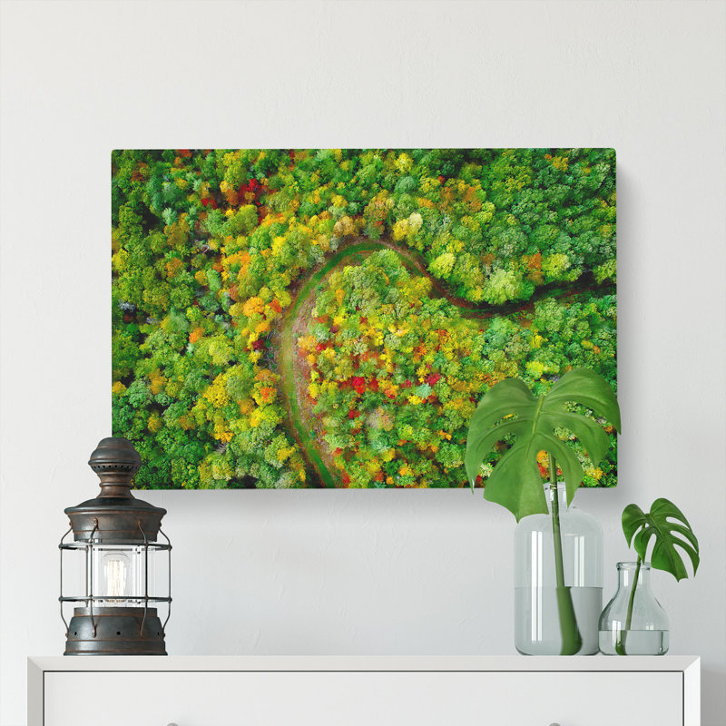Road Through The Forest - Wrapped Canvas, 50cm H x 76cm W x 3cm D