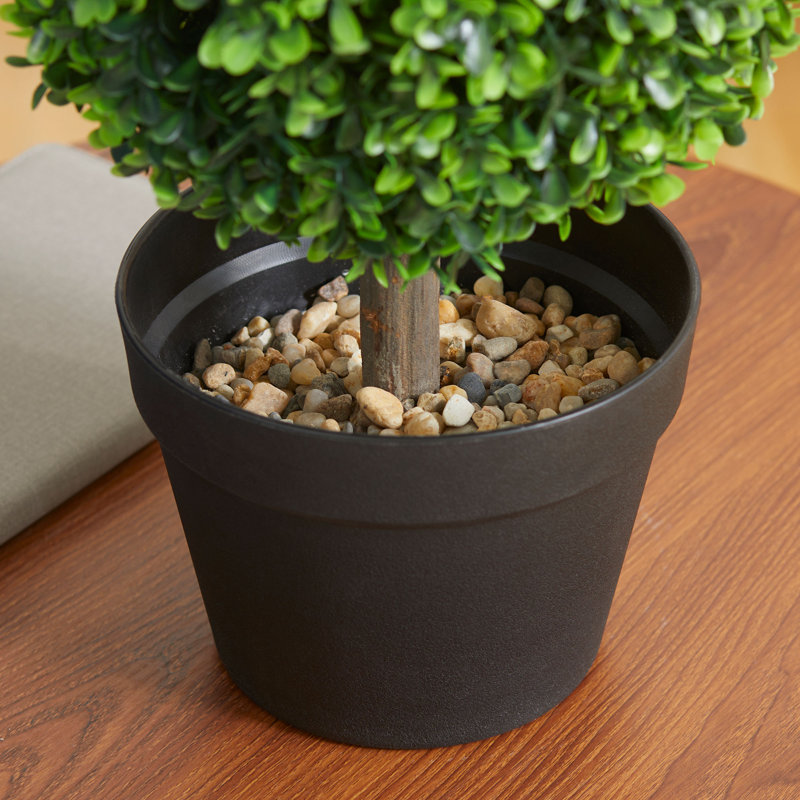 Zeigler 23.6'' H Artificial Boxwood Topiary Tree