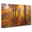 Mystery Forest - Wrapped Canvas Print-56632939