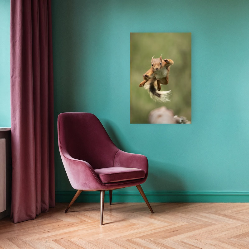 Flying Red Squirrel Energetic Playful Contemporary Squirrel Forest Nature Wall Art Print, 91.44cm H x 60.96cm W