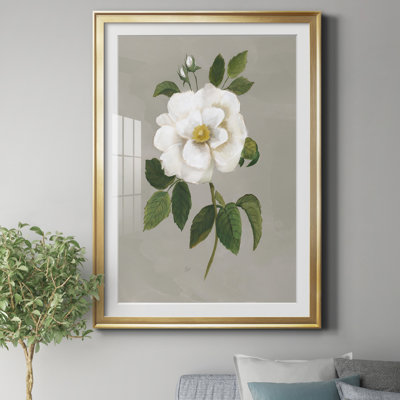 " Botanical Garden Rose " Painting Print