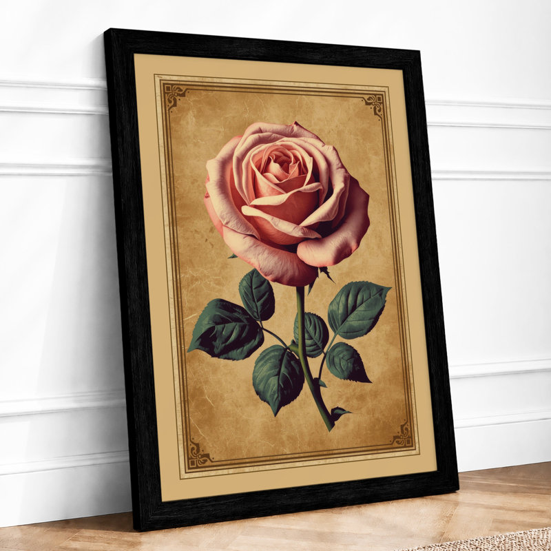 Single Rose In Bloom Botanical - Print, A2 - 59.4 x 42.0 cm, Black