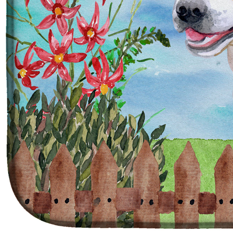 Tapis de séchage American Staffordshire
