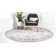 Glasser Oriental Indoor Rug