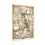 Bath & Laundry, cerf lisant un journal dans une salle de bain-2088338773