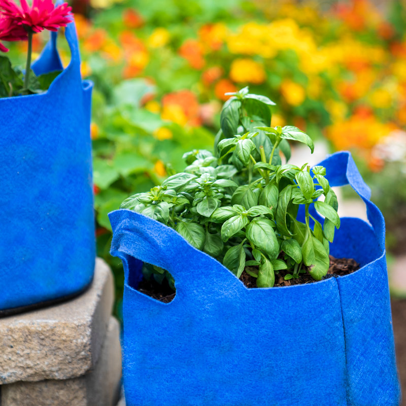 Jardinière en tissu Smart Pot®, 9,5 x 12 x 12, Bleu