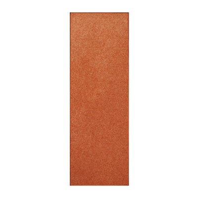 Tapis modernes de couleur unie pour animaux de compagnie et enfants, résistance aux taches et à la décoloration, chambre à coucher, salle de jeux et chambre d'enfant, événement, mariage, parfait pour le salon, la salle à 