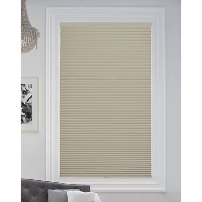 Cordless Blackout Cellular Shade
