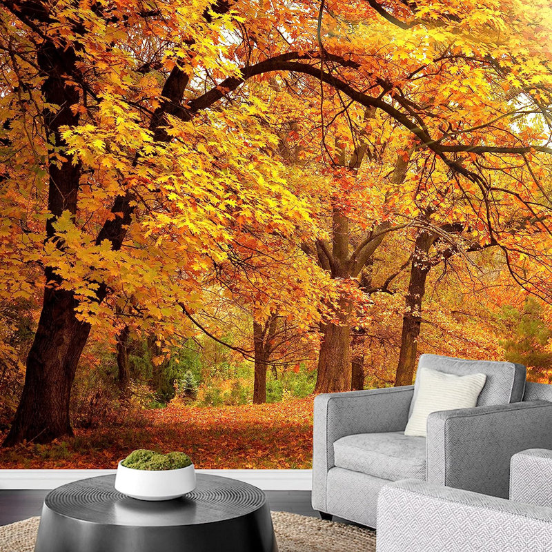 Adhésif solaire parc d'automne, L 100 po x l 144 po