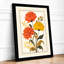Three Flowering Stems Botanical - Framed Print-1565209434-1565209429