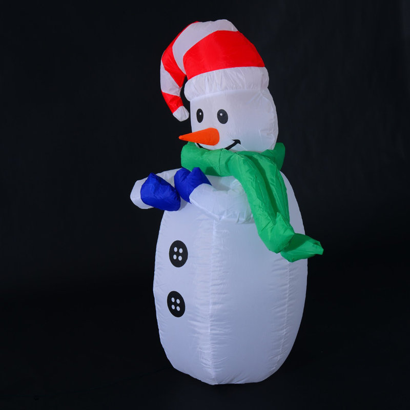 Elgin Christmas Decoration