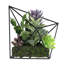 Arrangement de plantes grasses artificielles 6,75 po