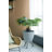 31.5'' Faux Fern Tree in Cement Pot