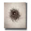 «Nest I» par Debra Van Swearingen, art mural sur toile-1579053164
