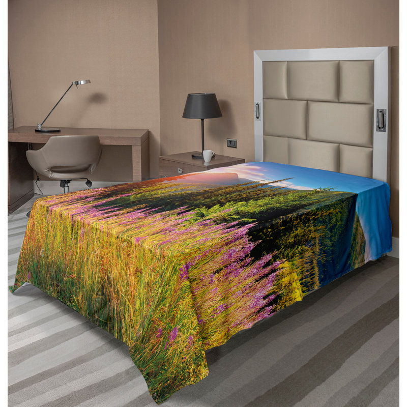 Drap-housse Ambesonne, Simple