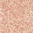 Chrysanthemum Pink selected