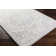 Grey/Ivory Area Rug