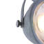 Roark Ceiling Spotlight