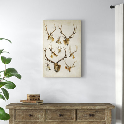 Western Animal Species II - Painting on Canvas
