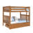 Ravenwood Solid Wood Standard Bunk Bed with Trundle by Sunside Sails-125421343-27463989