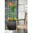 Newland Pot Planter-58225521-58225522