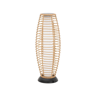 Andes 28.3'' Solar Powered Integrated LED Outdoor Floor Lamp