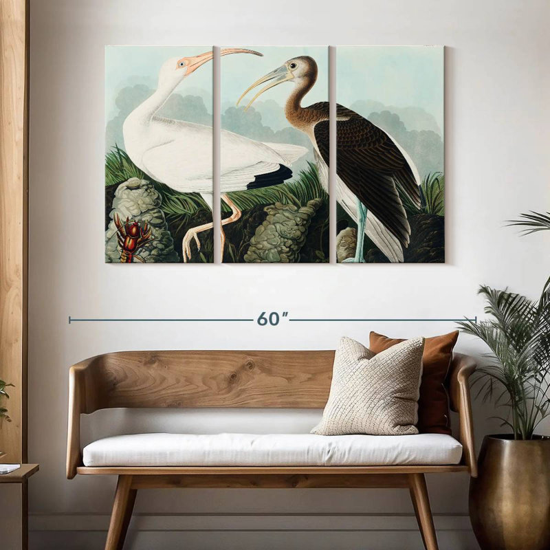 Brampt White Ibis, 32" H x 50" W
