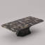 Arboresce Petrified Wood Coffee Table-923362486